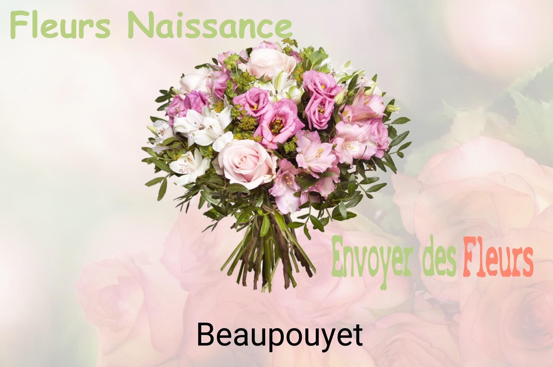 Bouquet de fleurs de naissance livré à Beaupouyet